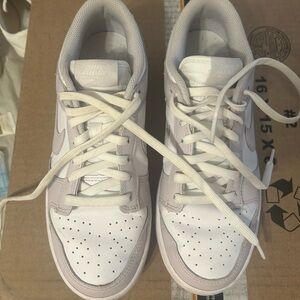 UNCREASED Nike Dunks